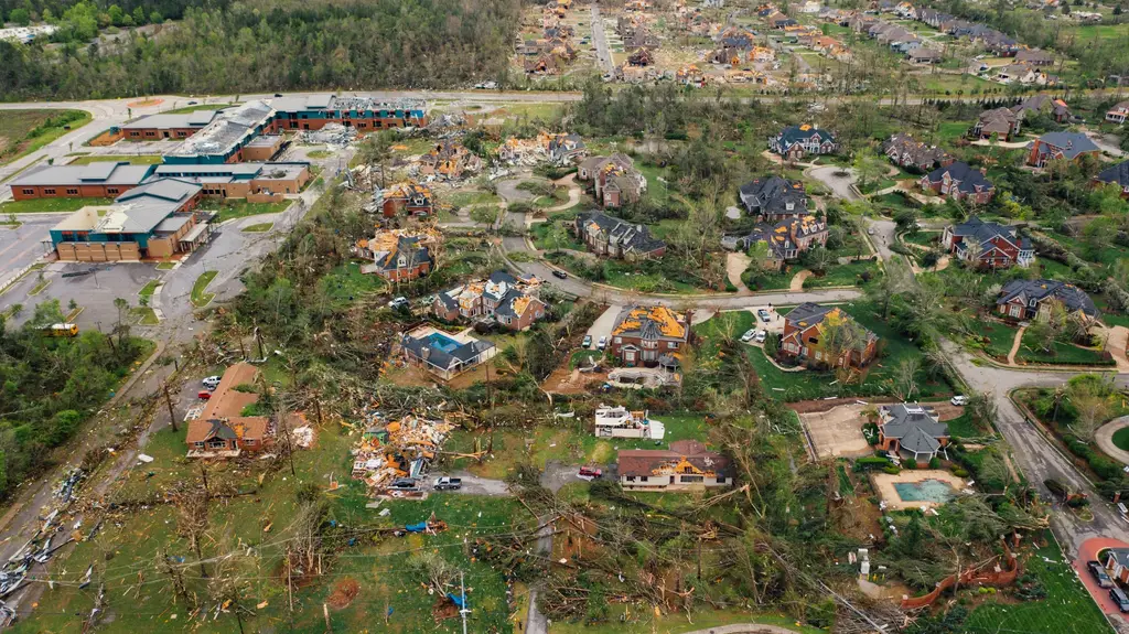 Wide aerial view of storm-damaged homes and downed trees