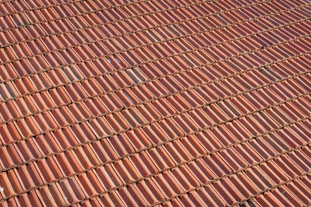 Red clay roof tiles in long even rows