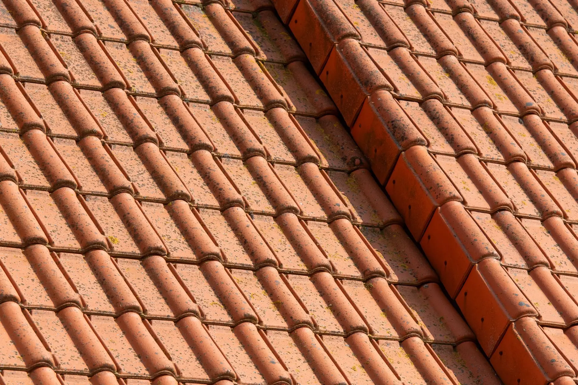 Terracotta roof tiles meeting at a ridge