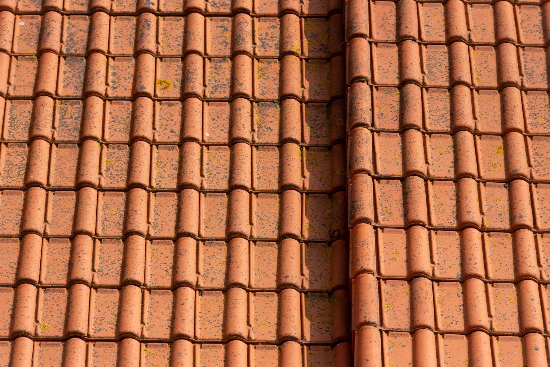 Terracotta roof tiles in neat rows