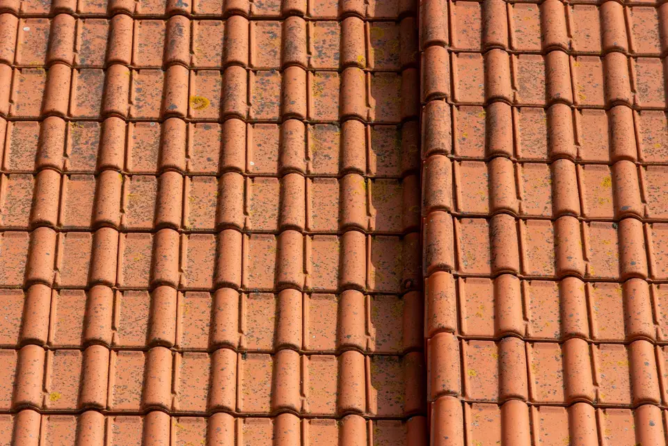 Terracotta roof tiles in neat rows