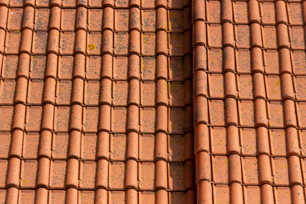 Terracotta roof tiles in neat rows
